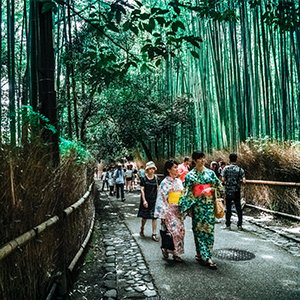 Arashiyama bamboo Shinrai japanese academy