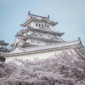 Meiji castle Shinrai japanese academy